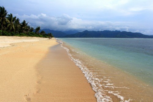 IMG_1165_новый размер