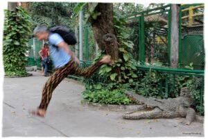 Сходил в зоопарк...