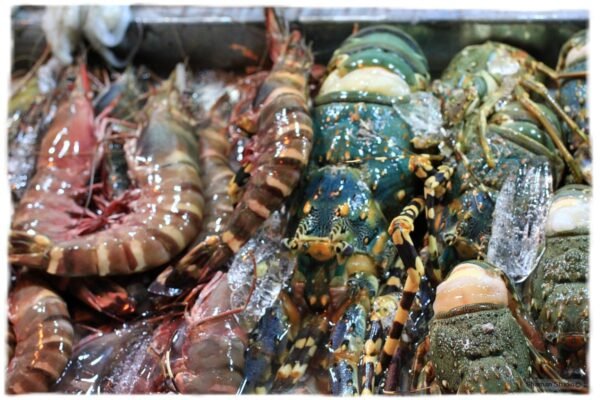 Городок Хойан. Любовь с первого взгляда...