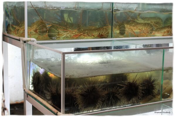 Вчера и сегодня...