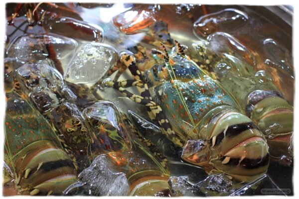 Вьетнам. Ханой. Старый квартал. Зарисовки.