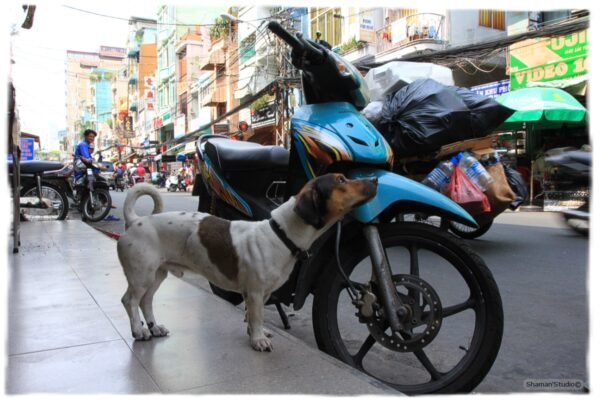 Лаос. Деревня Фатанг