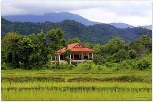 Лаос 2014. Сезон дождей