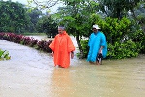 Дожди в джунглях...
