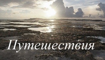 Интерес Золотой Ящерицы