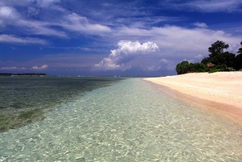 Мечты внушаются...