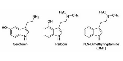 ДМТ - молекула духа