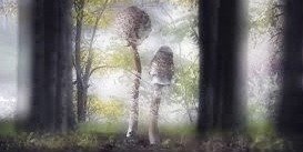 От "магических грибов" к доказательной медицине