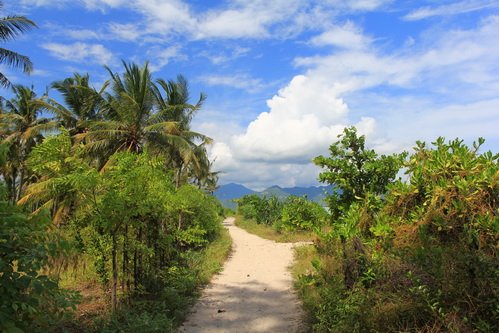 -Изображение-Дата - время оригинала- - 0382_новый размер_новый размер