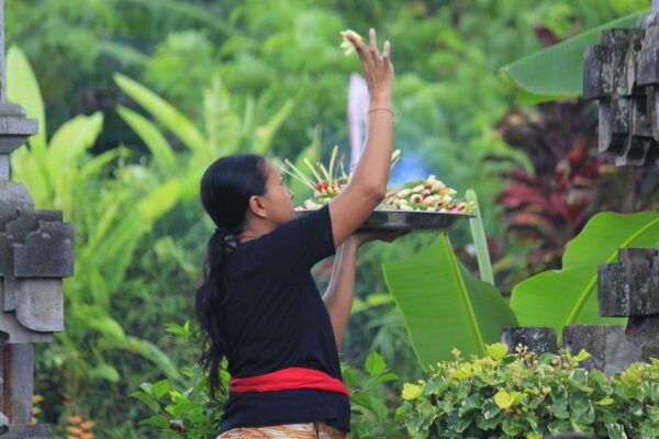 Ретрит на Гили и Бали. Январь 2016