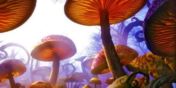 Больные раком и псилоцибиновые грибы (англ.)