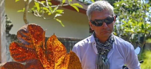 Успех и счастье - результат работы мозга