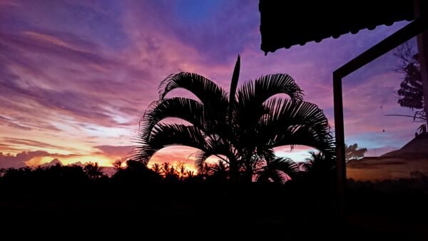 Осознанность. Техника