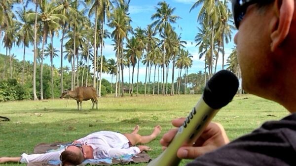 Хорошего трипа!