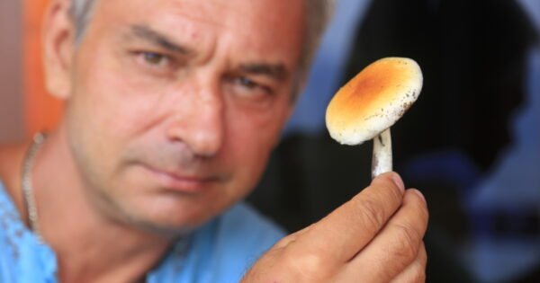 Новости о ретритах 2021