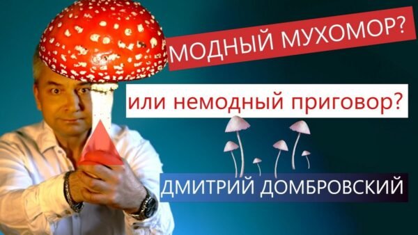 Модный мухомор?