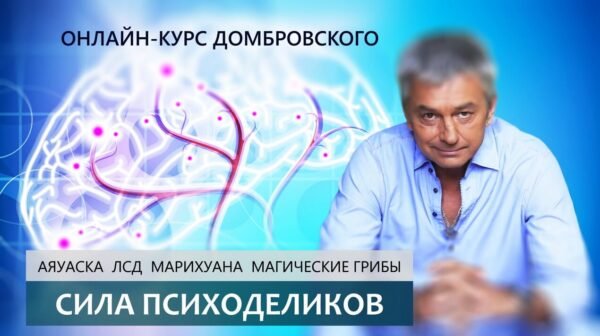 СИЛА ПСИХОДЕЛИКОВ - теперь индивидуально!